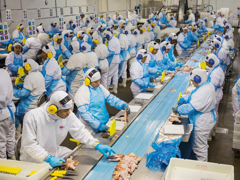 Production Assembly Line Image