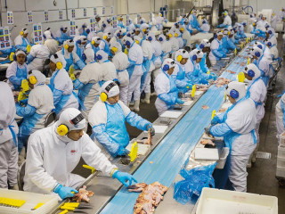 Production Assembly Line - Image